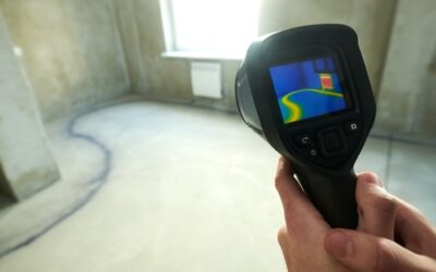 Main Water Line Leak or Inside Pipe Leak? How to Tell